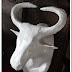 “The Bull”