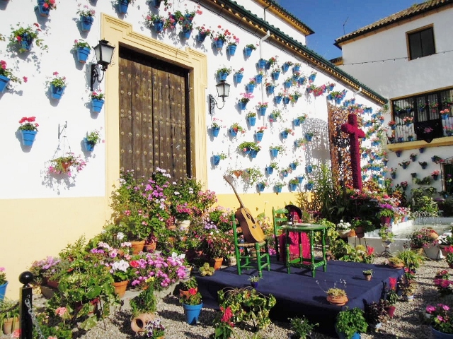 Venta de flores por Internet aumentará por 10 de mayo :: El 