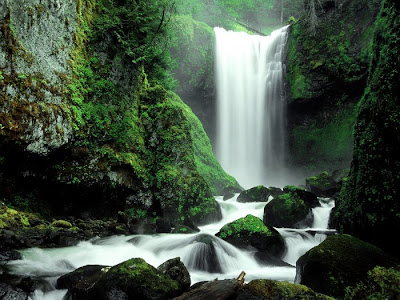 Beautiful Waterfall Seen On www.coolpicturegallery.net