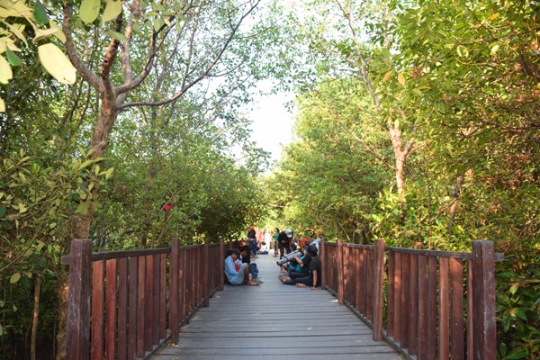 Hutan Mangrove di Indonesia