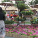 View album