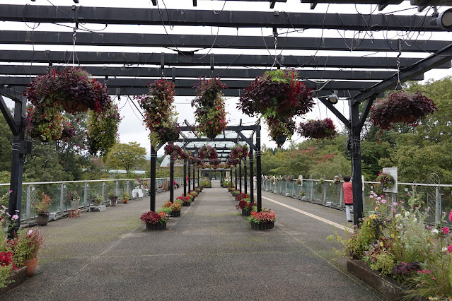 鳥取県西伯郡南部町鶴田　とっとり花回廊　プロムナード橋