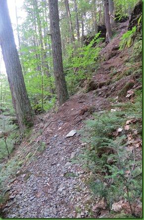 Hornbecks Creek (171)