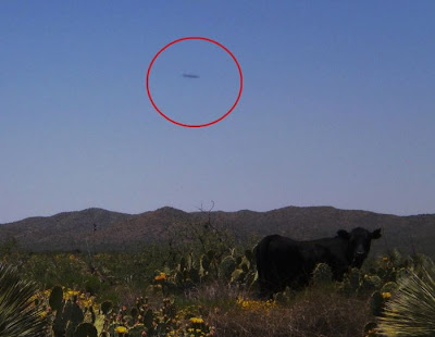 foto ufo dari seluruh dunia, gambar ufo, penampakan ufo