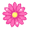 Gif flor