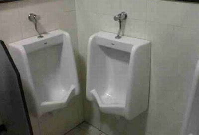 unusual toilets