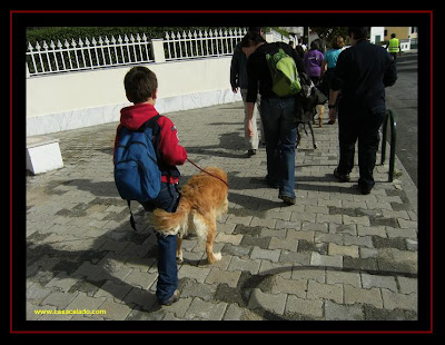 child walking with Golden Retriever