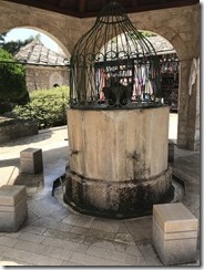 IMG_8396