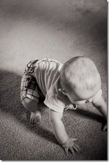 IMG_9787 IMG_9787