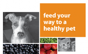 Feed Your Way to a Healthy Pet