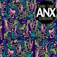 The Top 50 Albums of 2012: 19. Dark Time Sunshine - ANX