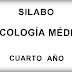 Silabo - Oncología Médica 2015