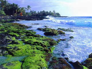 Hawaii island – also called the Big Islands - United States of America