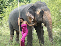 Lanka Hot Girl with Wild Elephant