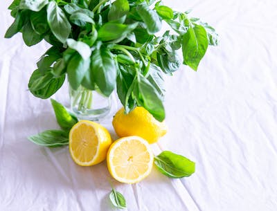 Benefits of Lemons Based Health