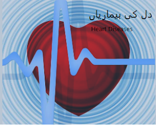 دل کی بیماریاں(Heart Diseases)