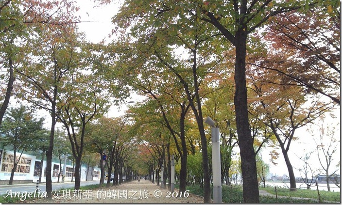 SuseongMotLake-26 SuseongMotLake-26