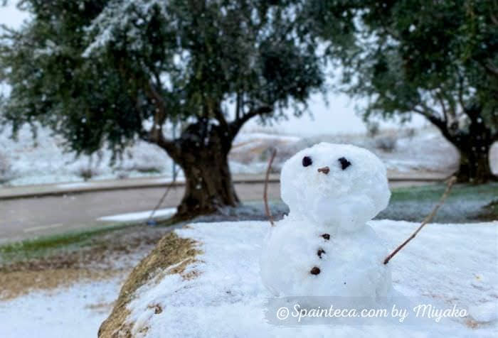 雪の積もるオリーブの木と雪だるま