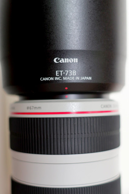 Canon EF70-300mm f/4-5.6L IS USM胖白 開箱