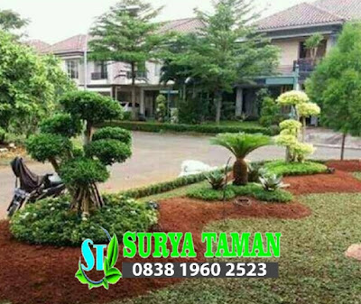 www.tukangrumputbogor.com