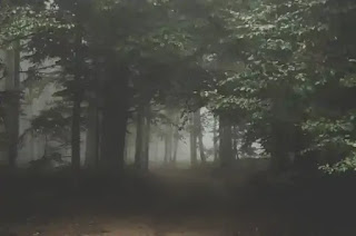 霧の立ちこめる森