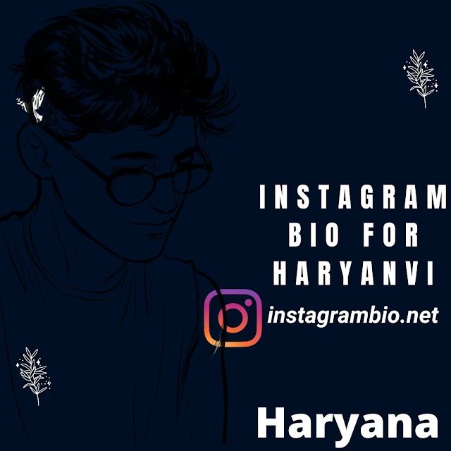 Instagram bio for Haryanvi
