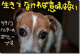 今日カズ１０１２０１　４