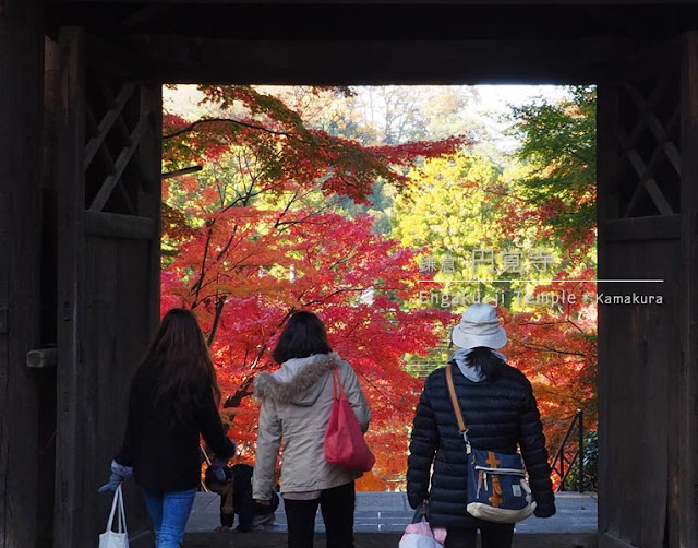 円覚寺･総門から見える紅葉：