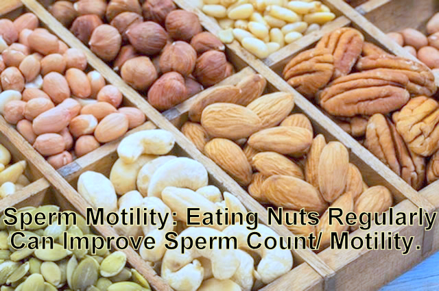 Sperm Motility: Eating Nuts Regularly Can Improve Sperm Count/Motility.