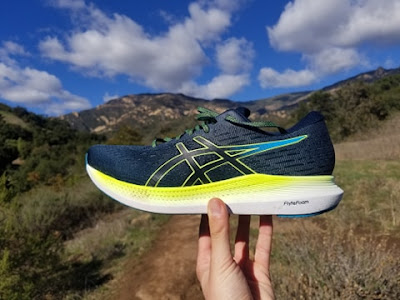 Asics EvoRide 2 lateral