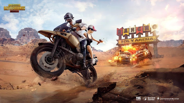 Scenes of Professional PUBG