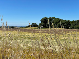 Burial mound and stones in the distance