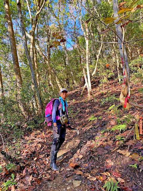 林道底登山口