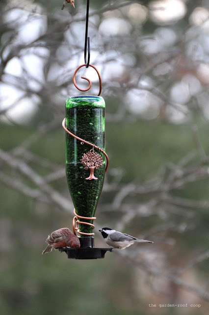 Garden Bird Feeders