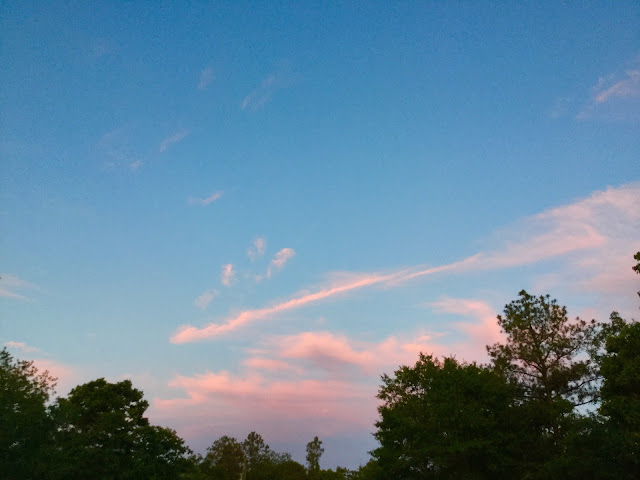 blue and pink sky