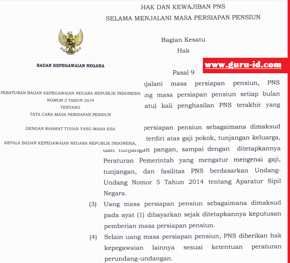 id akan mengembangkan Peraturan Badan kepegawaian Negara  syarat pensiun PNS Terbaru Sesuai Peraturan BKN nomor 2 Tahun 2019