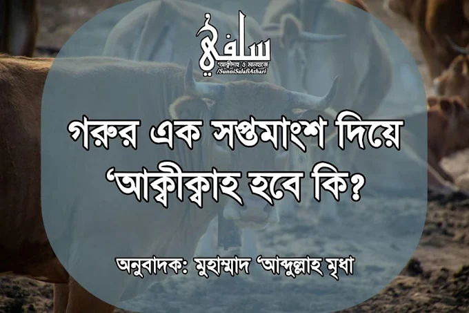 ▌গরুর এক সপ্তমাংশ দিয়ে ‘আক্বীক্বাহ হবে কি? কুরবানি