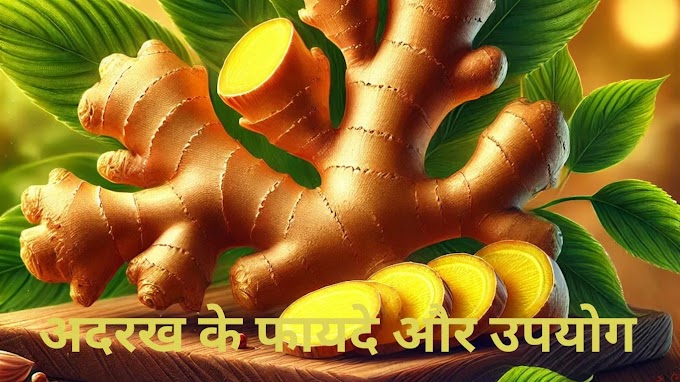 अदरक के उपयोग और इसके स्वास्थ्य लाभ – पूरी जानकारी