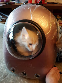 Gina in haar spacecapsule