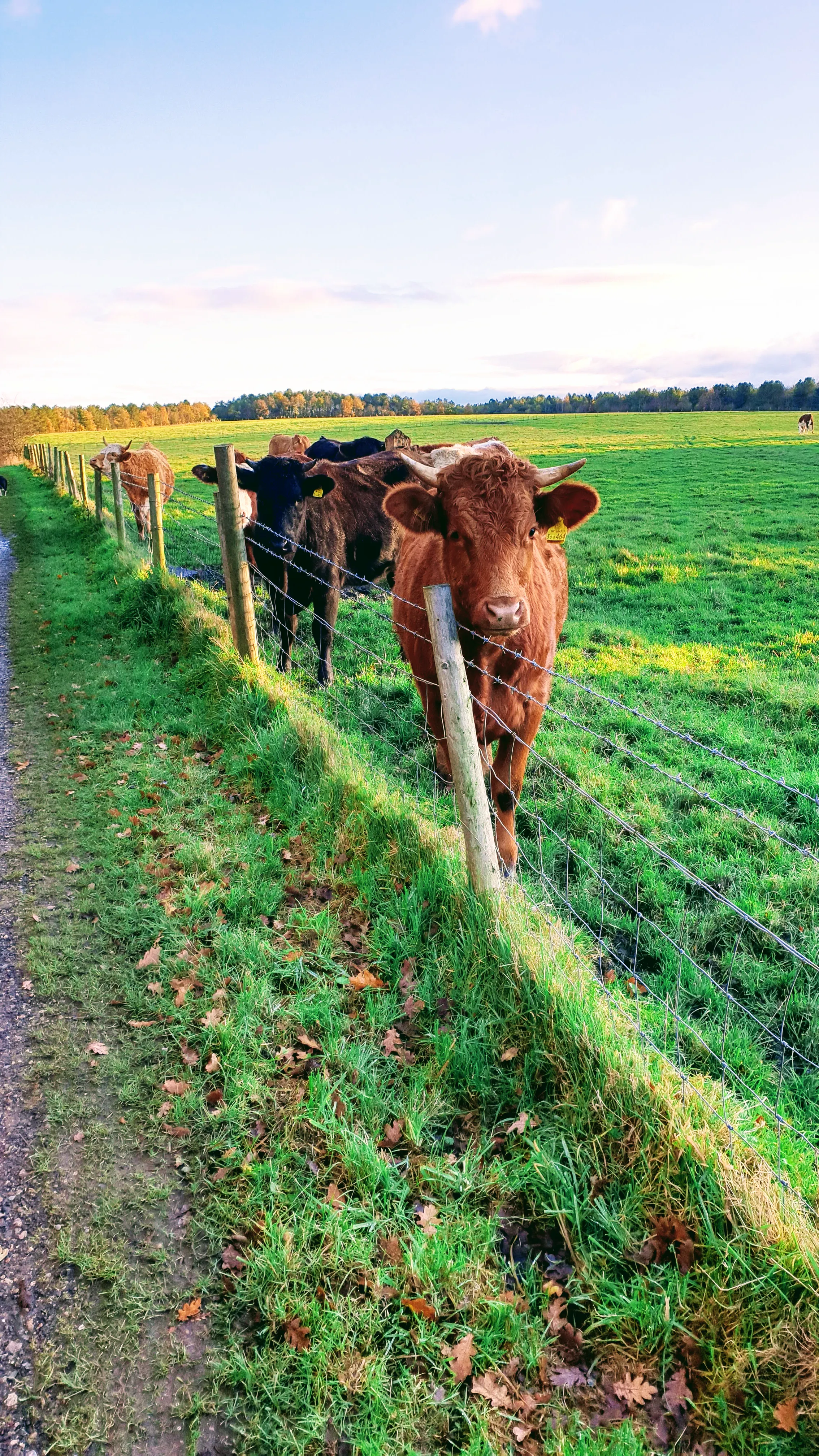 Is There Any Better Start To A Crisp Autumn Day Than A Walk In The Countryside?