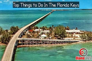 Top Things to Do In The Florida Keys