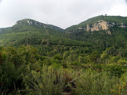 La Penya Esquerdada i l'Espadat de Baix