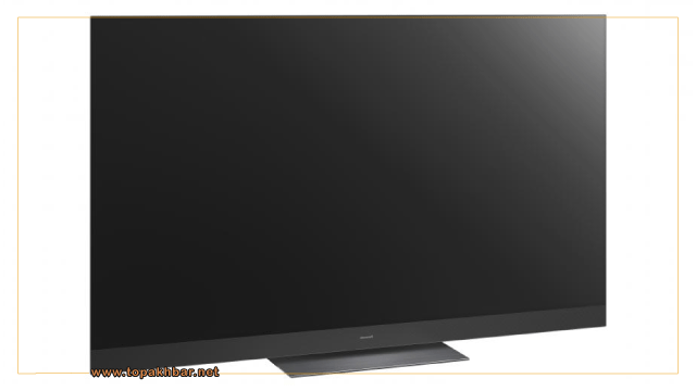 Panasonic HZ2000 OLED