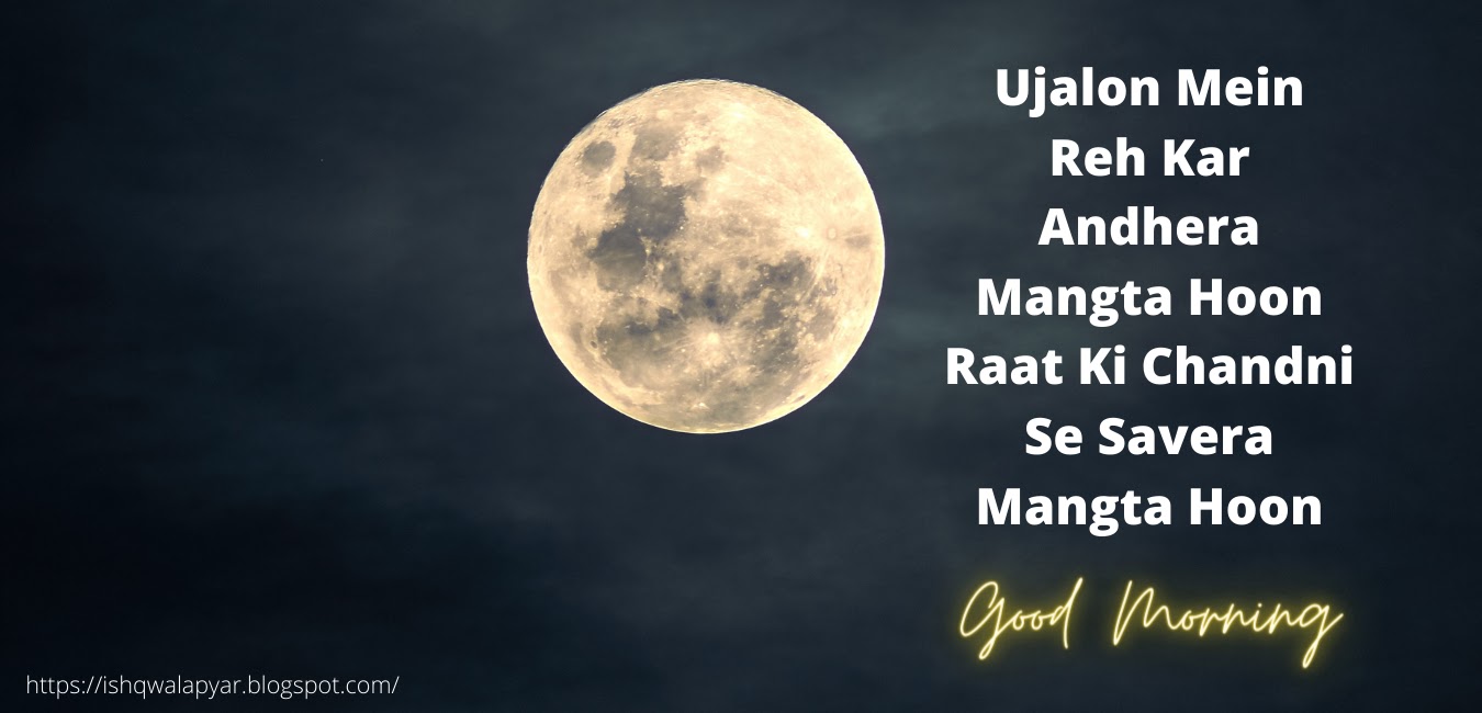 Latest Good Morning Shayari in hindi Images Status Download