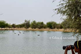 Al Qudra cycling Track, Al Qudra Lakes, Al Qudra camping @colorsofourrainbow.blogspot.ae