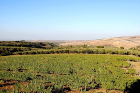 Cantina Il Passo Basilicata wine region