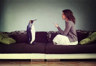 talk with penguin