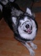 clip_image014[8]