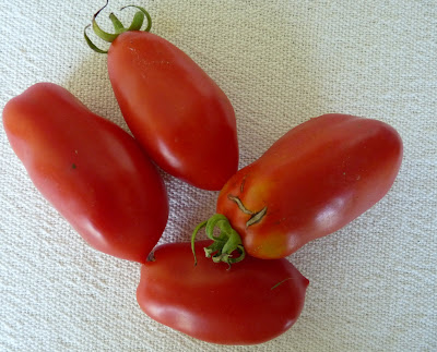 Romeo Tomatoes Romeo Tomatoes