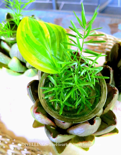 Hosta & Asparagus Fern